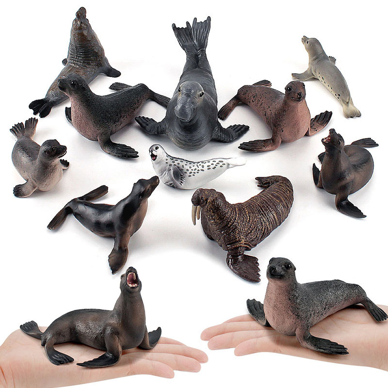 Simulation Ocean Animal Seals  - Marine Life Aquariums reseña y precio