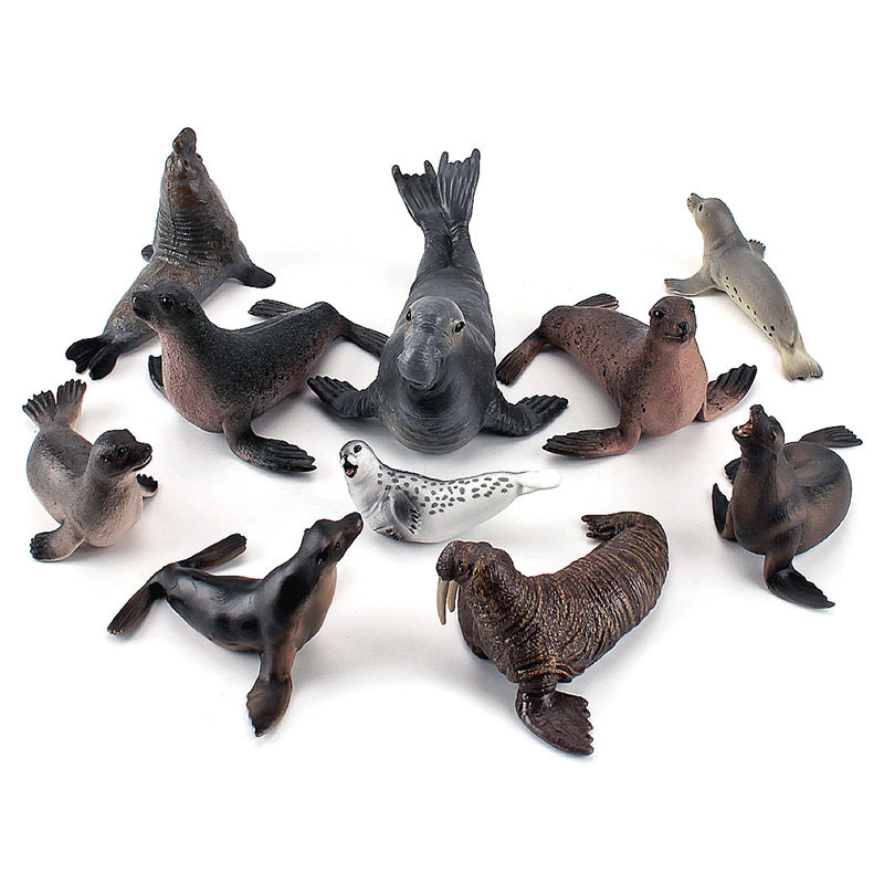 Simulation Ocean Animal Seals  - Marine Life Aquariums reseña y precio