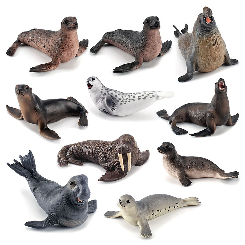 Simulation Ocean Animal Seals  - Marine Life Aquariums reseña y precio