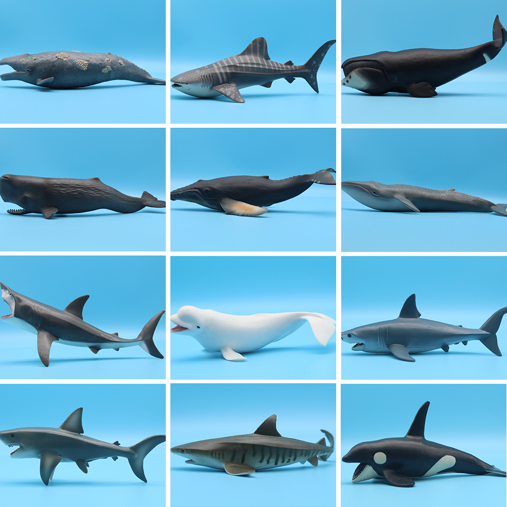 Ocean Sea Life Simulation Kill - Marine Life Aquariums reseña y precio