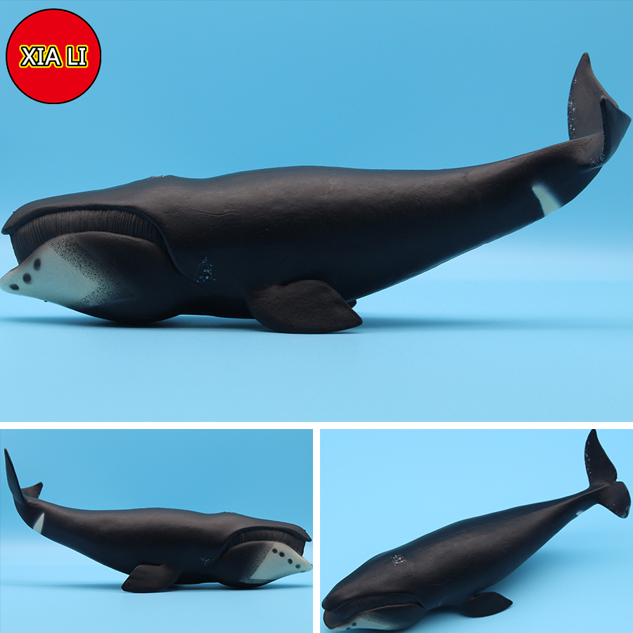 Ocean Sea Life Simulation Kill - Marine Life Aquariums reseña y precio