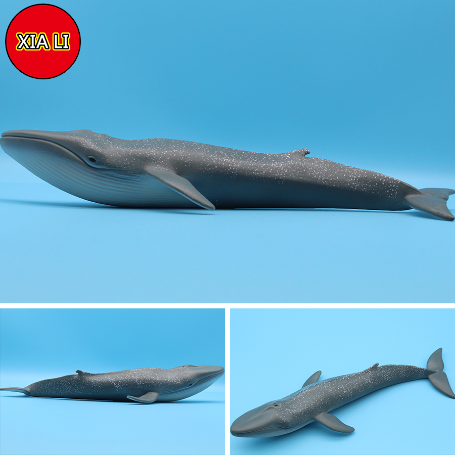 Ocean Sea Life Simulation Kill - Marine Life Aquariums reseña y precio