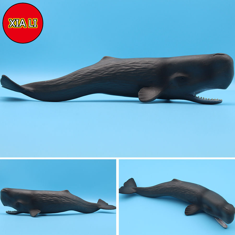 Ocean Sea Life Simulation Kill - Marine Life Aquariums reseña y precio