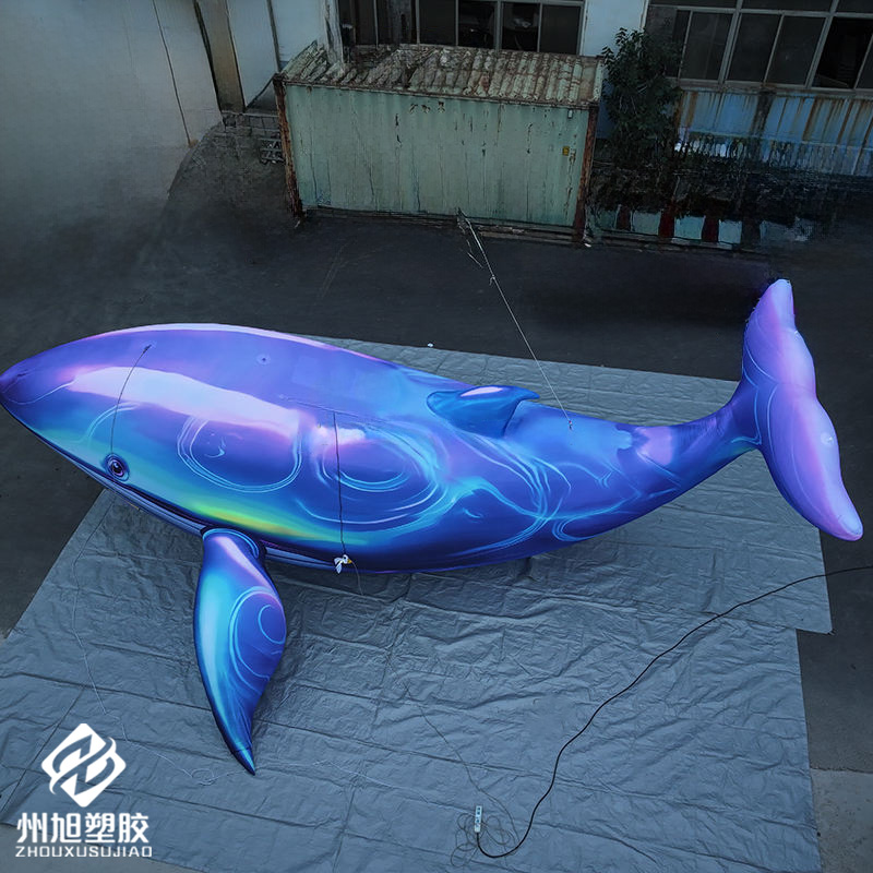 Inflatable blue whale, used as - Marine Life Aquariums reseña y precio