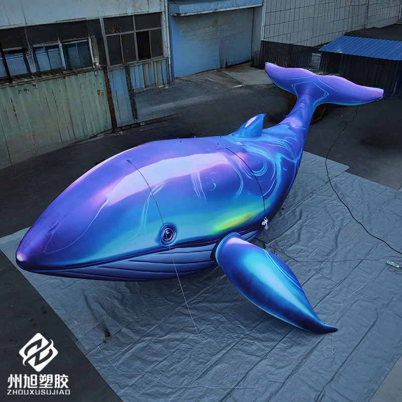 Inflatable blue whale, used as - Marine Life Aquariums reseña y precio