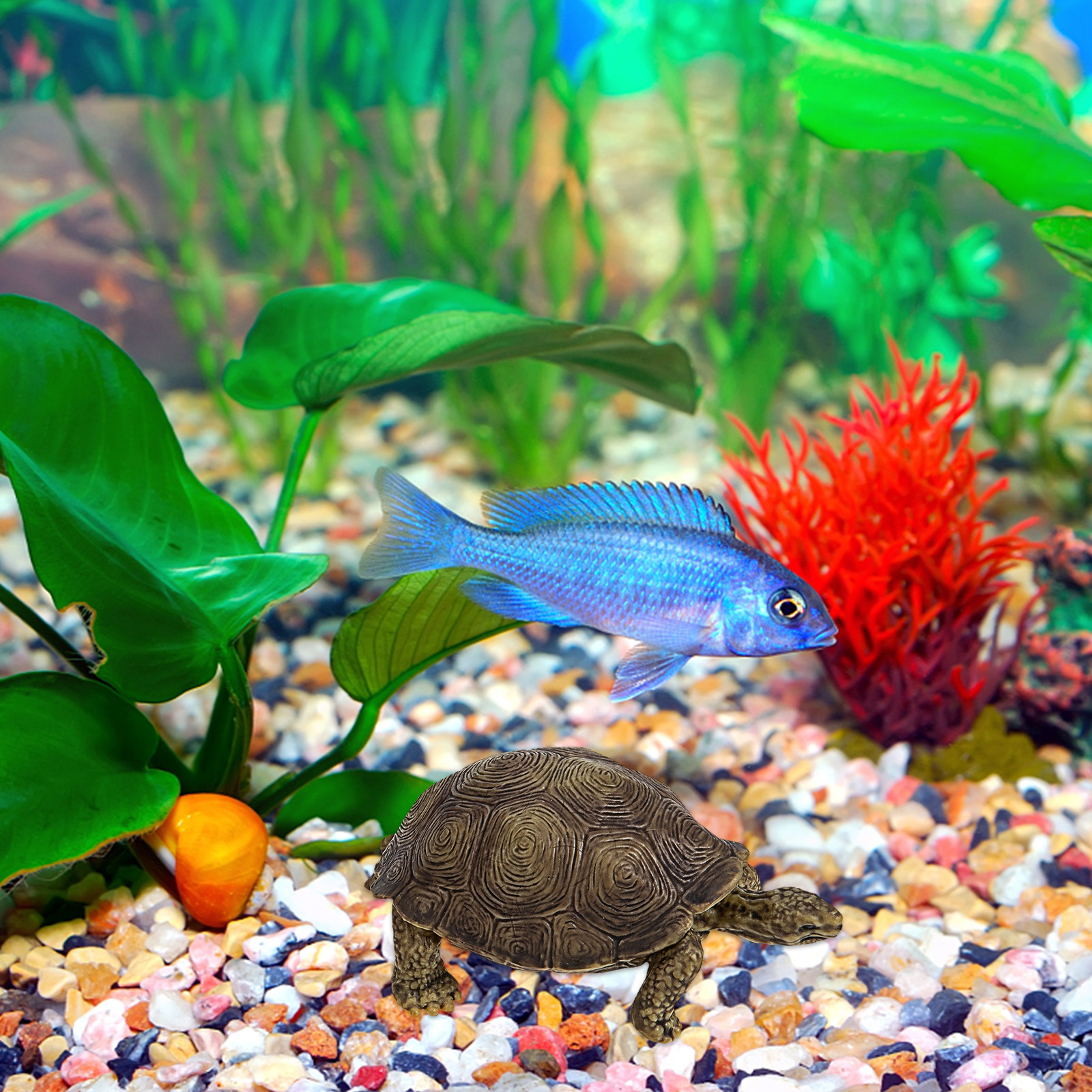 2Pcs Simulation Tortoise Plast - Marine Life Aquariums reseña y precio