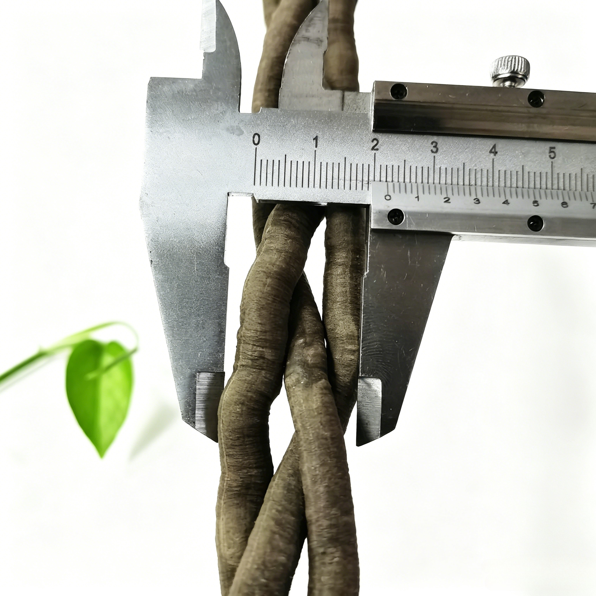 100cm Artificial Vine Fake Pla - Marine Aquarium Tanks reseña y precio