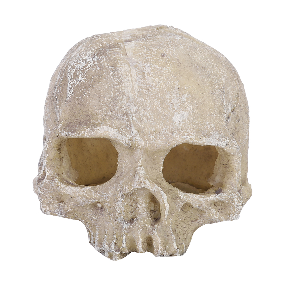 Resin Simulated Head Bone Skul - Marine Aquarium Tanks reseña y precio