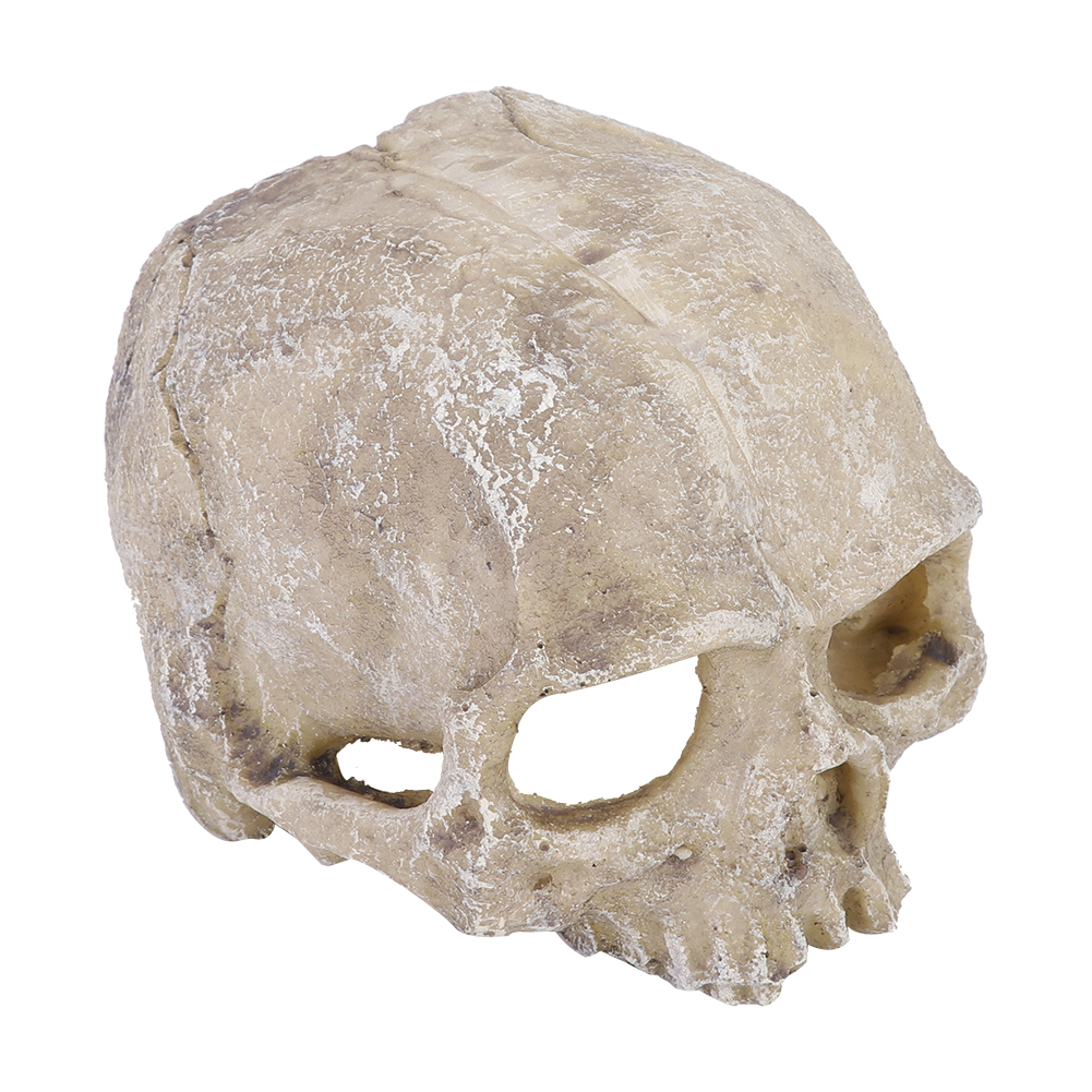 Resin Simulated Head Bone Skul - Marine Aquarium Tanks reseña y precio