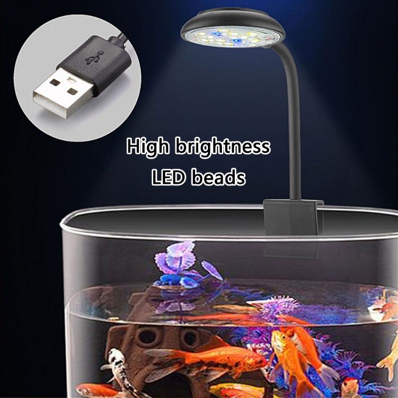 Adjusting Brightness LED Aquar - Marine Life Aquariums reseña y precio