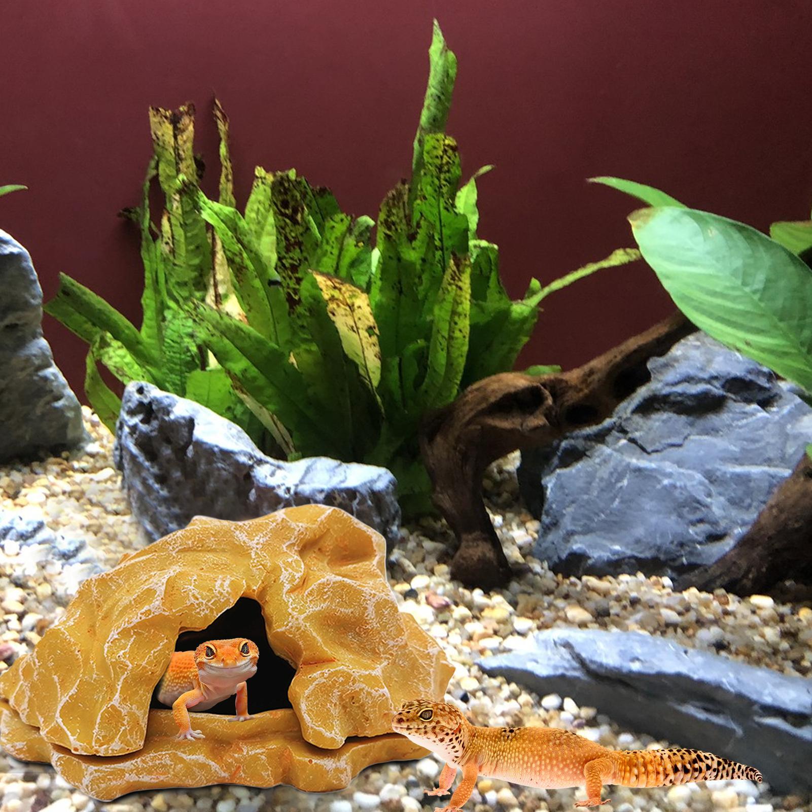 Lizard House Terrarium Resin F - Marine Aquarium Tanks reseña y precio