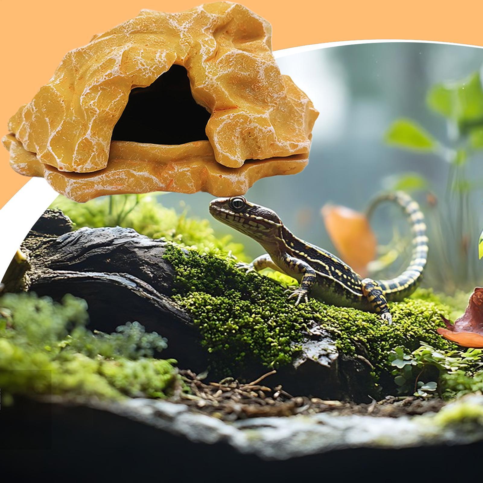 Lizard House Terrarium Resin F - Marine Aquarium Tanks reseña y precio