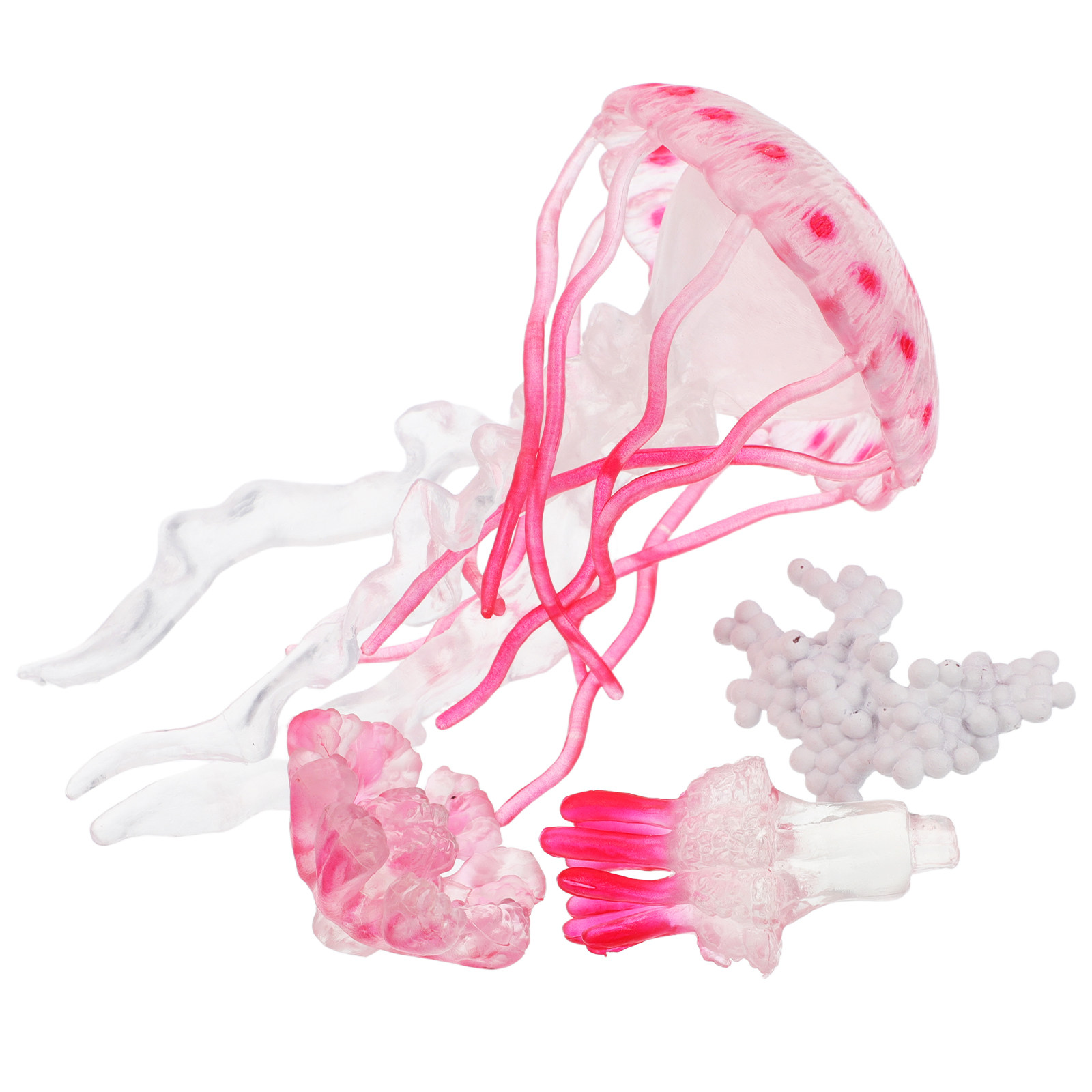 1Set Simulated Jellyfish Life  - Marine Life Aquariums reseña y precio