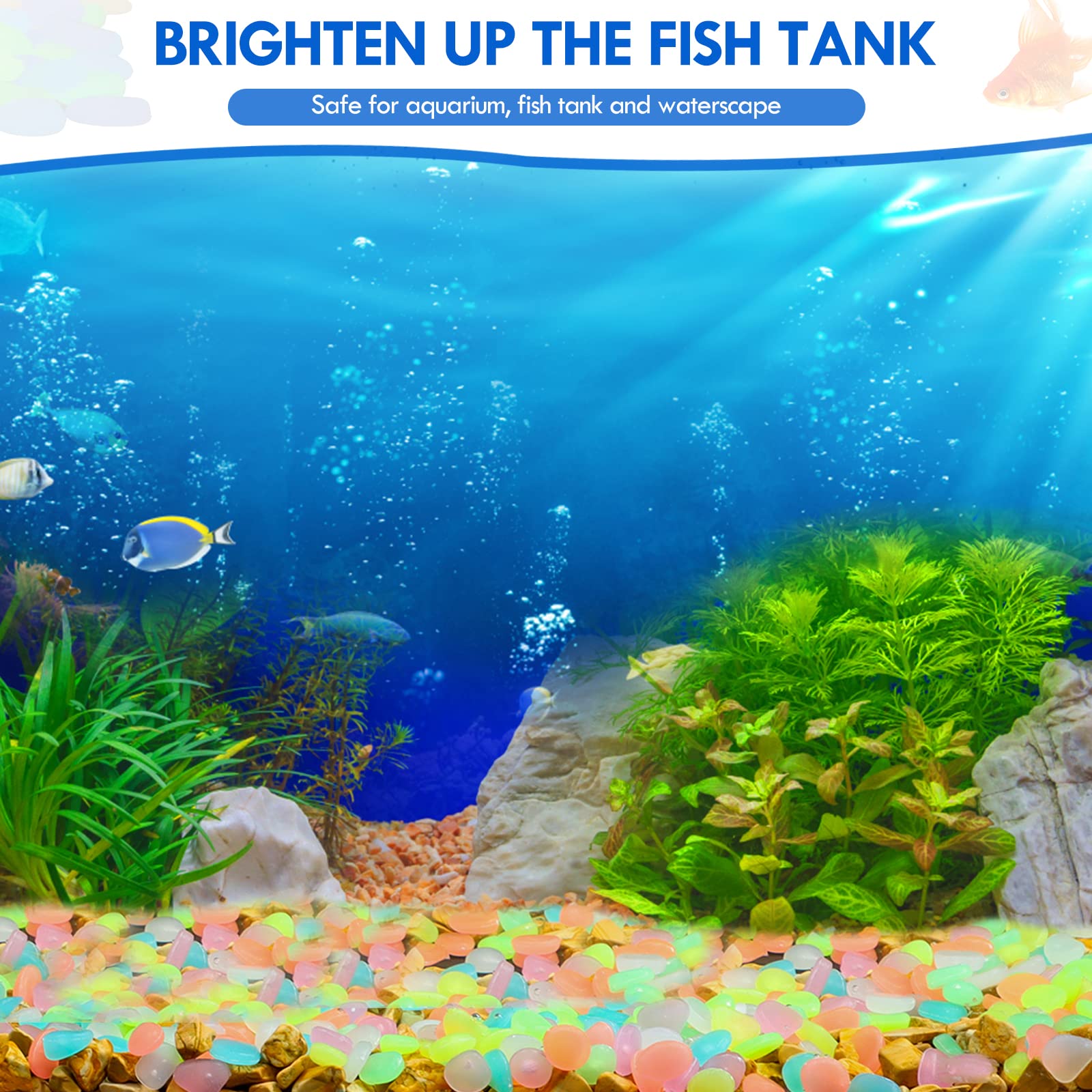 100Pcs Glow in the Dark Garden - Marine Aquarium Tanks reseña y precio